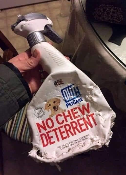 100% OUTH PETCARE NO CHEW DETERRENT HELPS STOP BITING, CHEWING, LICKING AND SCRATCHING