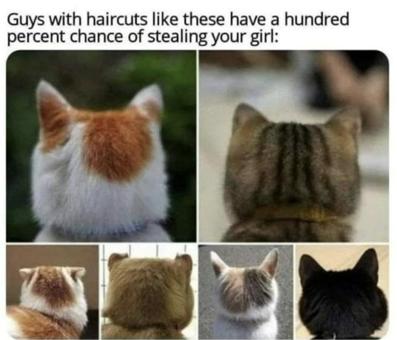 Guys with haircuts like these have a hundred percent chance of stealing your girl: