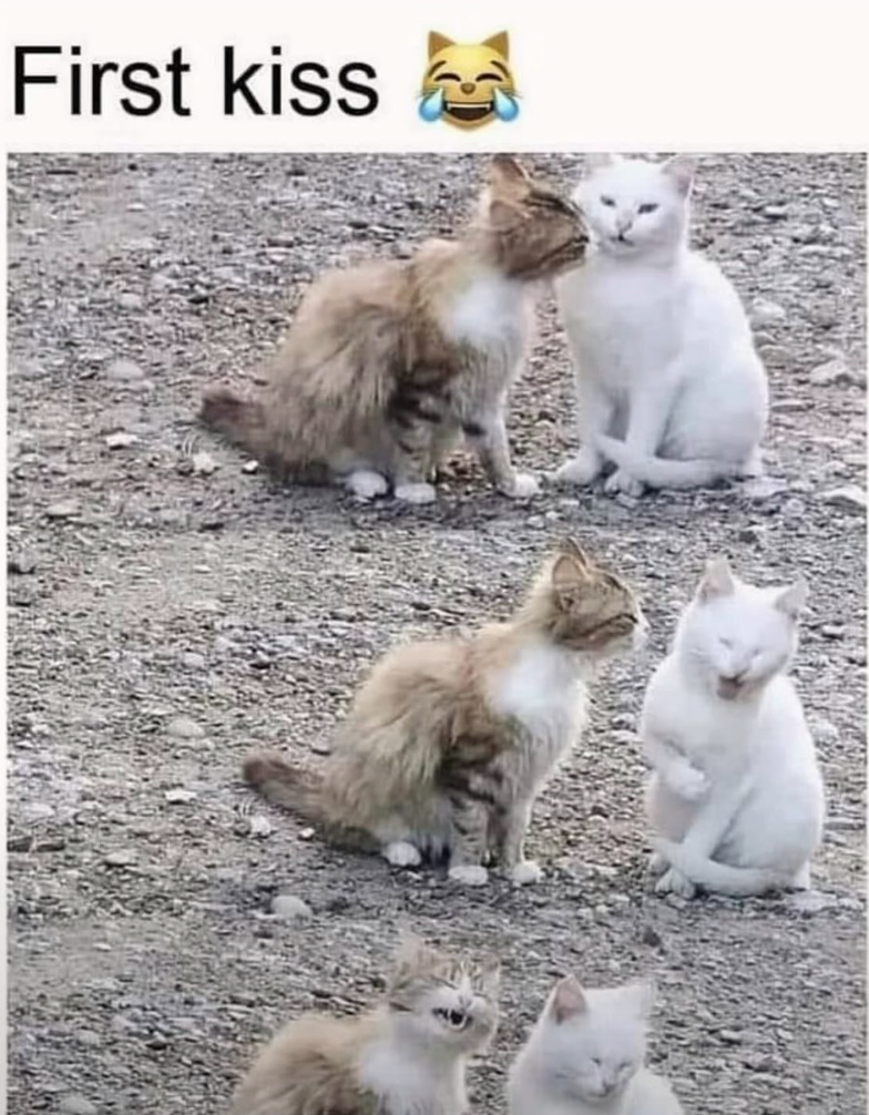First kiss