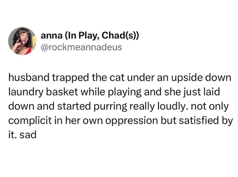 anna (In Play, Chad(s)) @rockmeannadeus husband trapped the cat under an upside down laundry basket while playing and she just laid down and started purring really loudly. not only complicit in her own oppression but satisfied by it. sad