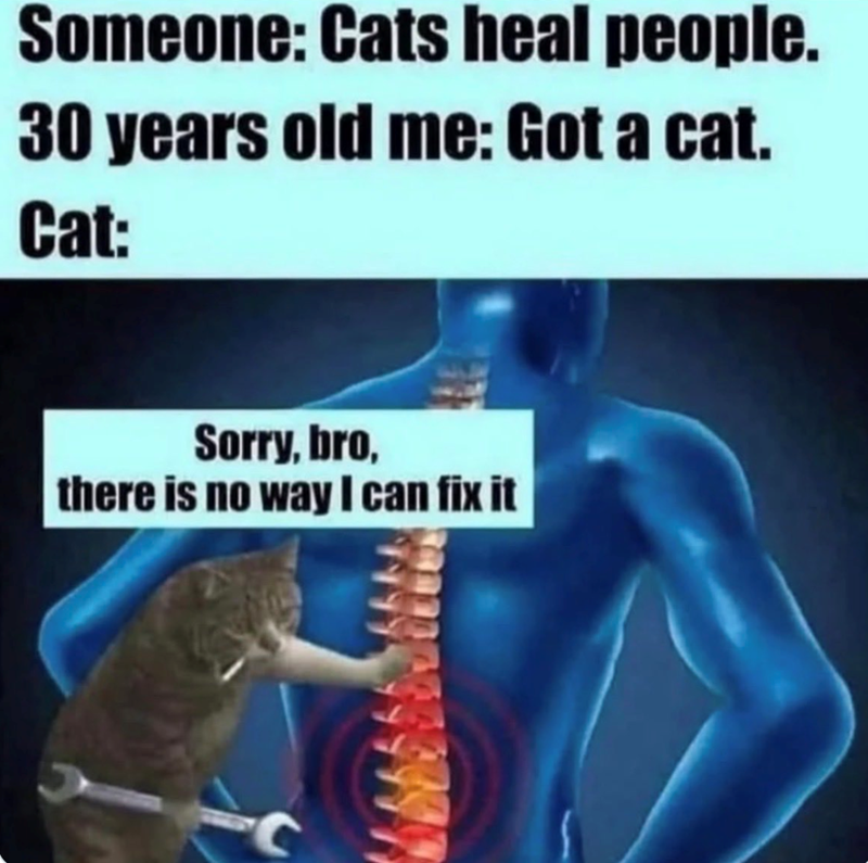 Someone: Cats heal people. 30 years old me: Got a cat. Cat: Sorry, bro, there is no way I can fix it