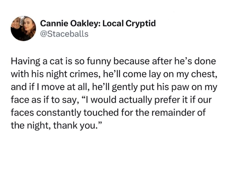 Cannie Oakley: Local Cryptid @Staceballs Having a cat is so funny because after he's done with his night crimes, he'll come lay on my chest, and if I move at all, he'll gently put his paw on my face as if to say, "I would actually prefer it if our faces constantly touched for the remainder of the night, thank you."