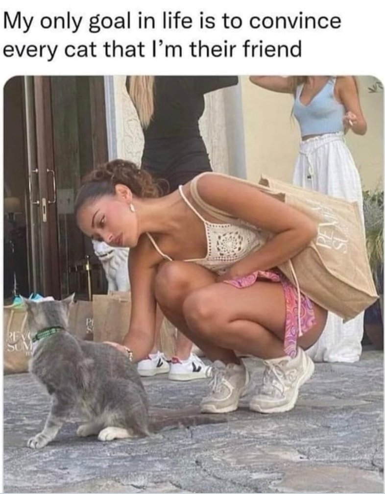 My only goal in life is to convince every cat that I'm their friend REV SUM