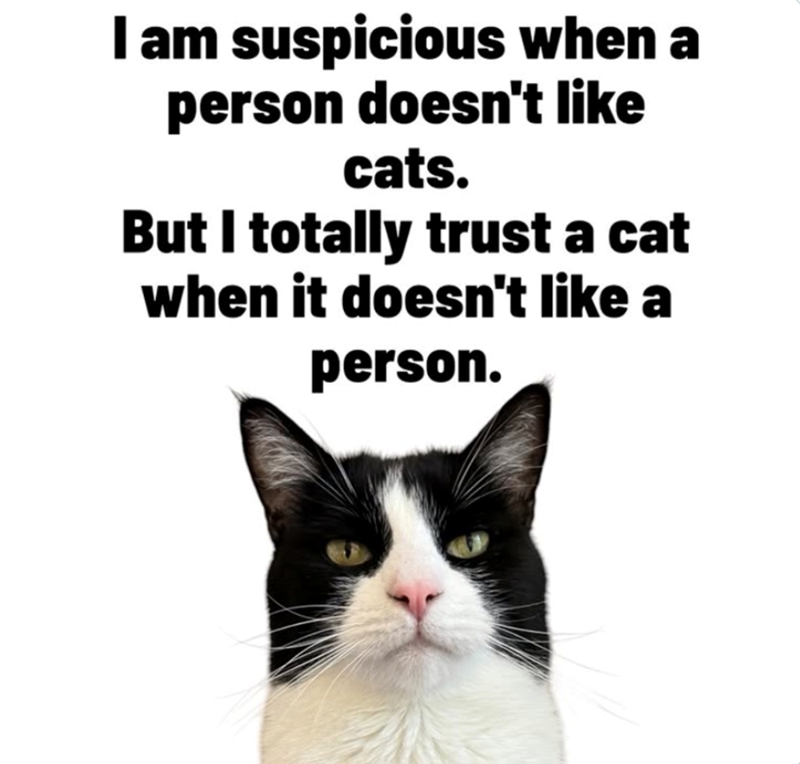 I am suspicious when a person doesn't like cats. But I totally trust a cat when it doesn't like a person.