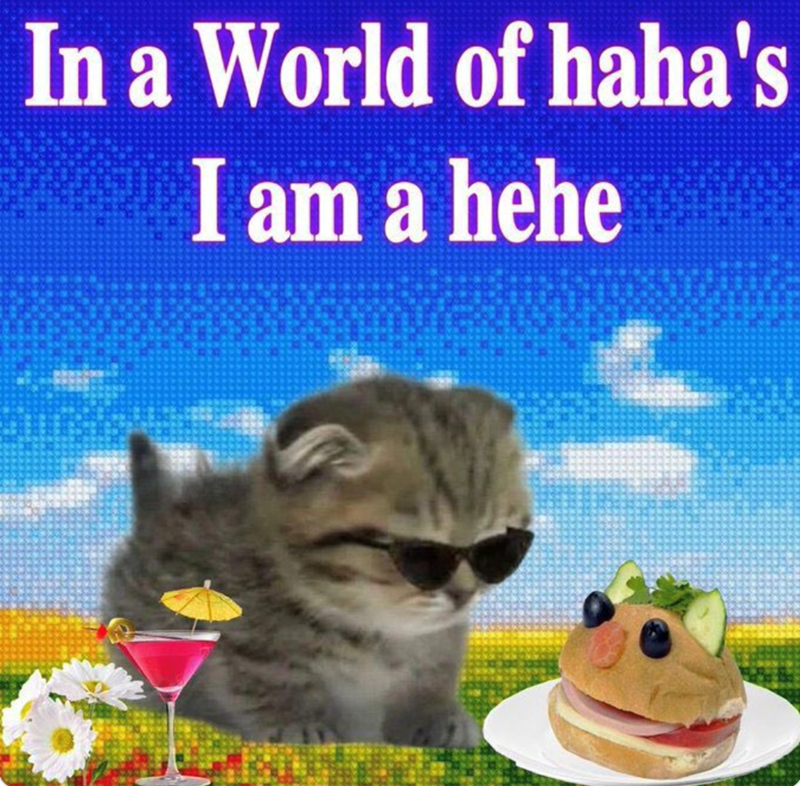 In a World of haha's I am a hehe