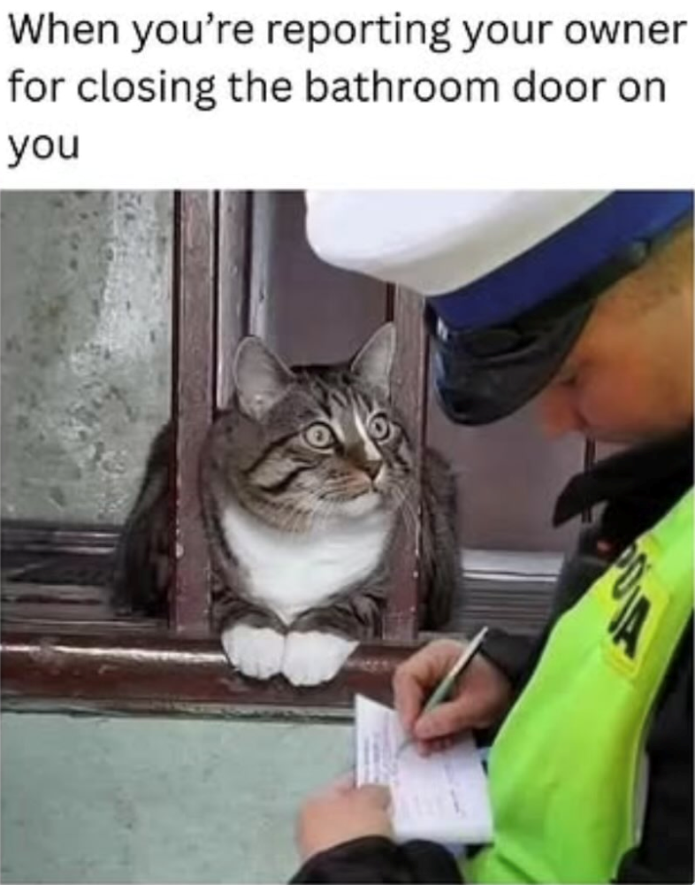 When you're reporting your owner for closing the bathroom door on you