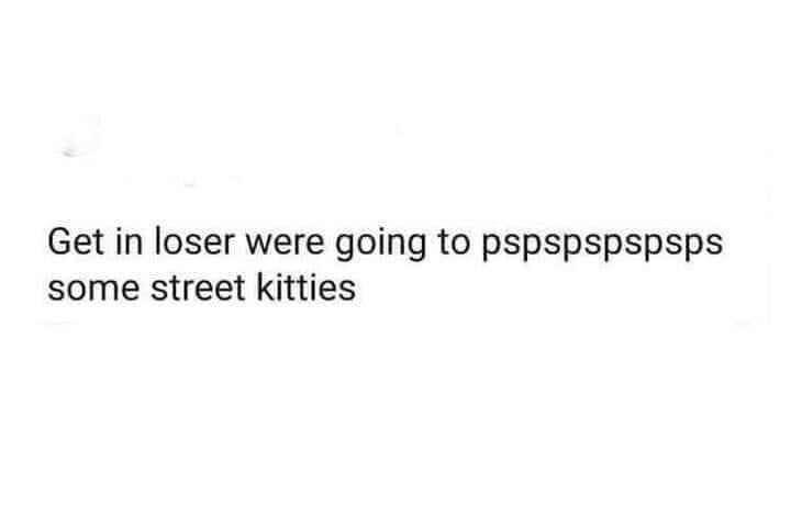 Get in loser were going to pspspspspsps some street kitties