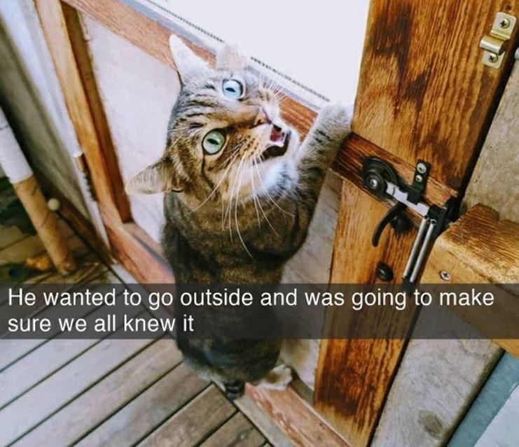 He wanted to go outside and was going to make sure we all knew it