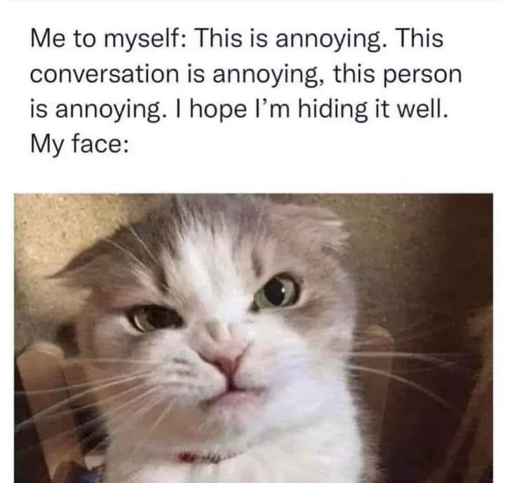 Me to myself: This is annoying. This conversation is annoying, this person is annoying. I hope I'm hiding it well. My face: