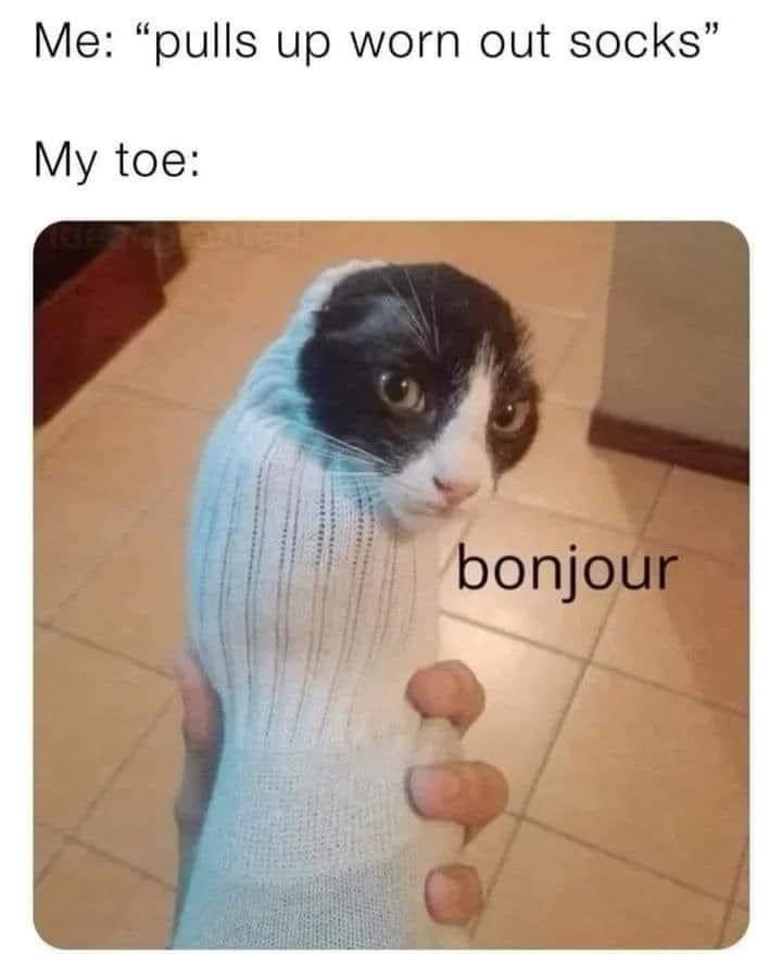 Me: "pulls up worn out socks" My toe: bonjour