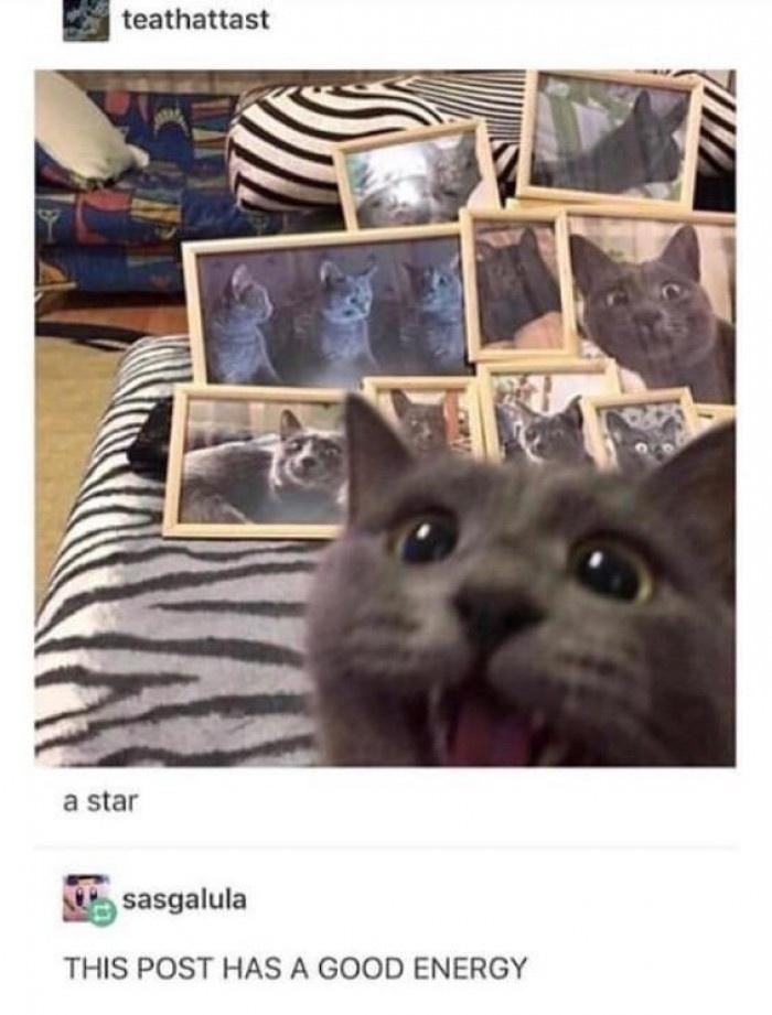 teathattast a star sasgalula THIS POST HAS A GOOD ENERGY
