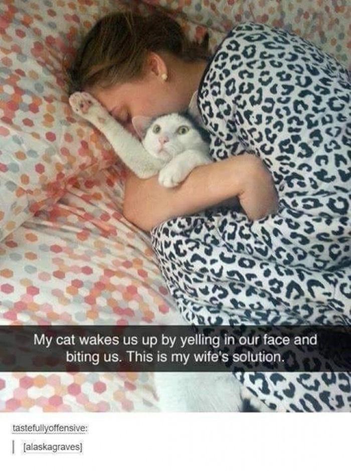 My cat wakes us up by yelling in our face and biting us. This is my wife's solution. tastefullyoffensive: [alaskagraves]