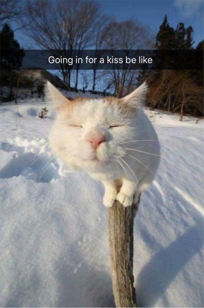 Going in for a kiss be like