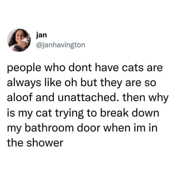 jan @janhavington people who dont have cats are always like oh but they are so aloof and unattached. then why is my cat trying to break down my bathroom door when im in the shower