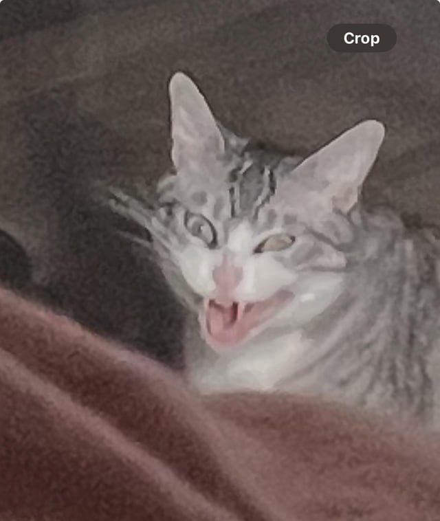 Crop