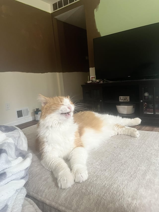 PAWS