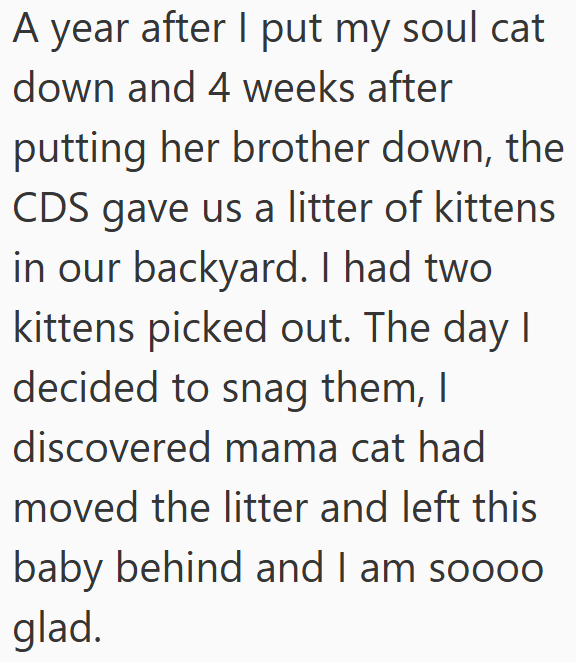 A year after I put my soul cat down and 4 weeks after putting her brother down, the CDS gave us a litter of kittens in our backyard. I had two kittens picked out. The day I decided to snag them, I discovered mama cat had moved the litter and left this baby behind and I am soooo glad.
