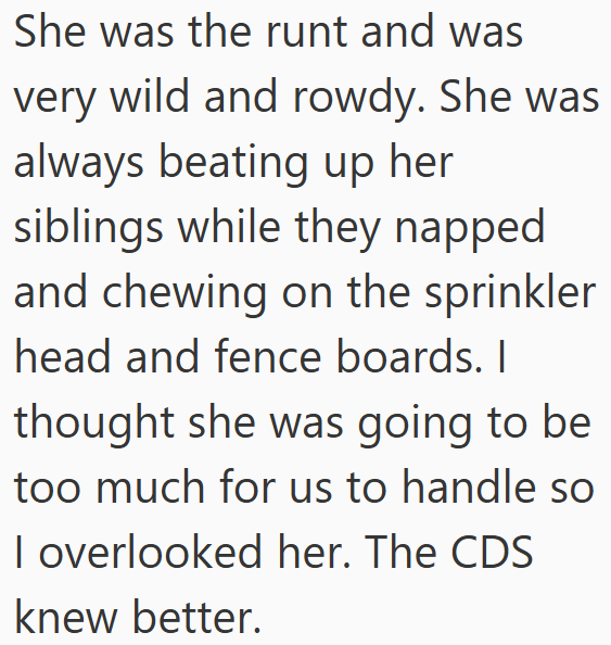 She was the runt and was very wild and rowdy. She was always beating up her siblings while they napped and chewing on the sprinkler head and fence boards. I thought she was going to be too much for us to handle so I overlooked her. The CDS knew better.