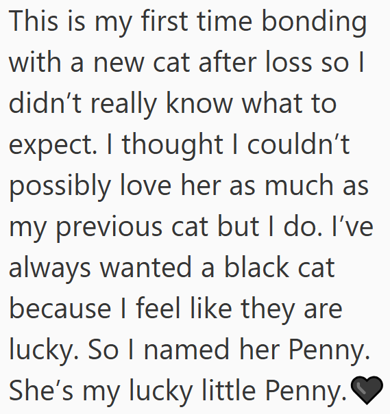 This is my first time bonding with a new cat after loss so I didn't really know what to expect. I thought I couldn't possibly love her as much as my previous cat but I do. I've always wanted a black cat because I feel like they are lucky. So I named her Penny. She's my lucky little Penny.