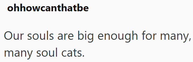 ohhowcanthatbe Our souls are big enough for many, many soul cats.