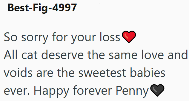 Best-Fig-4997 So sorry for your loss All cat deserve the same love and voids are the sweetest babies ever. Happy forever Penny'