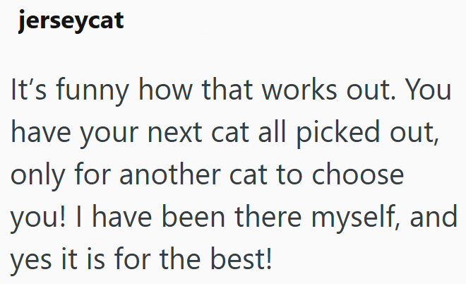 jerseycat It's funny how that works out. You have your next cat all picked out, only for another cat to choose you! I have been there myself, and yes it is for the best!
