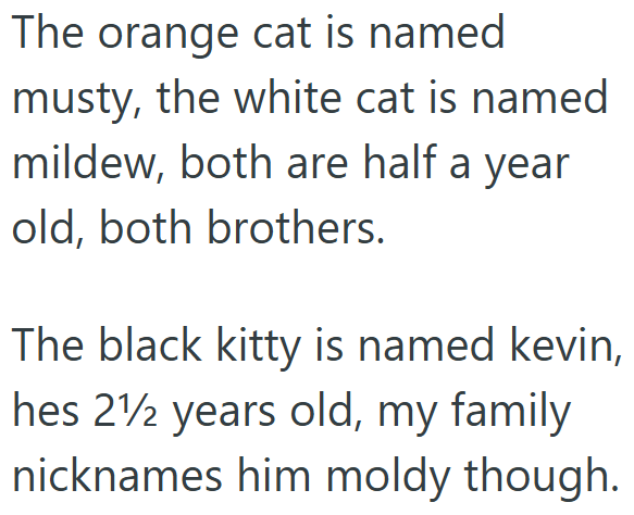 The orange cat is named musty, the white cat is named mildew, both are half a year old, both brothers. The black kitty is named kevin, hes 21 years old, my family nicknames him moldy though.