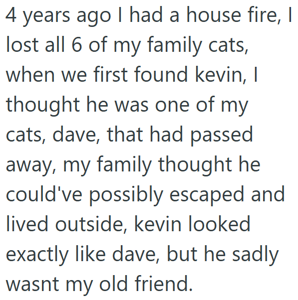 4 years ago I had a house fire, I lost all 6 of my family cats, when we first found kevin, I thought he was one of my cats, dave, that had passed away, my family thought he could've possibly escaped and lived outside, kevin looked exactly like dave, but he sadly wasnt my old friend.