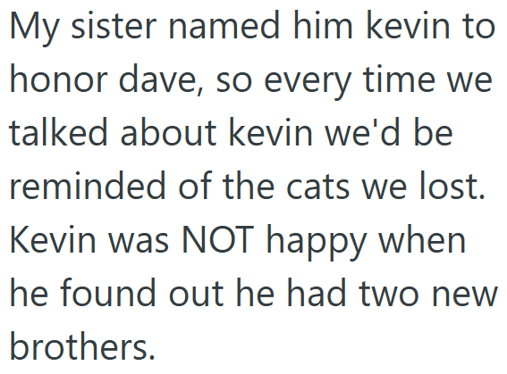 My sister named him kevin to honor dave, so every time we talked about kevin we'd be reminded of the cats we lost. Kevin was NOT happy when he found out he had two new brothers.