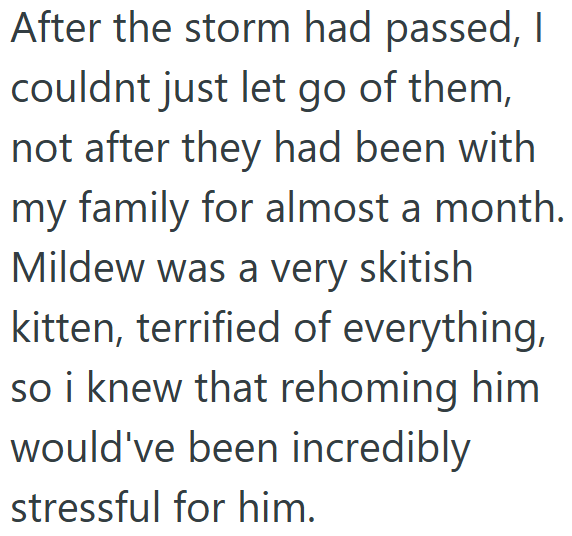 After the storm had passed, I couldnt just let go of them, not after they had been with my family for almost a month. Mildew was a very skitish kitten, terrified of everything, so i knew that rehoming him would've been incredibly stressful for him.