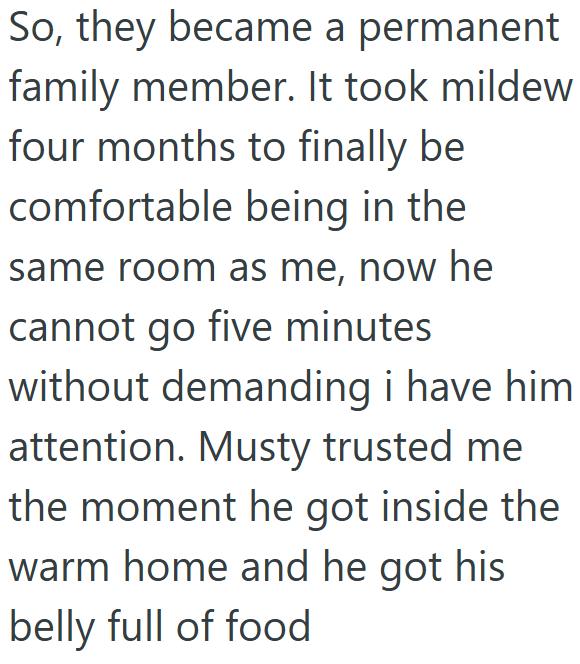 So, they became a permanent family member. It took mildew four months to finally be comfortable being in the same room as me, now he cannot go five minutes without demanding i have him attention. Musty trusted me the moment he got inside the warm home and he got his belly full of food