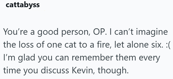 cattabyss You're a good person, OP. I can't imagine the loss of one cat to a fire, let alone six. :( I'm glad you can remember them every time you discuss Kevin, though.