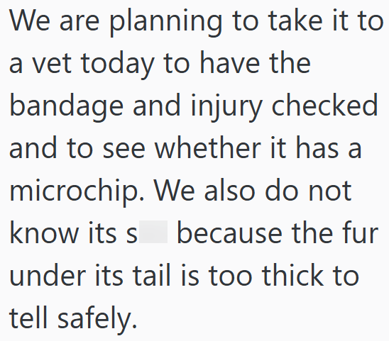 We are planning to take it to a vet today to have the bandage and injury checked and to see whether it has a microchip. We also do not know its s because the fur under its tail is too thick to tell safely.
