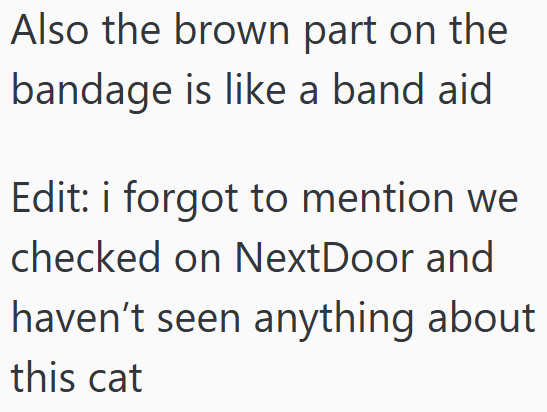 Also the brown part on the bandage is like a band aid Edit: i forgot to mention we checked on NextDoor and haven't seen anything about this cat