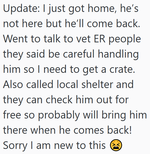 Update: I just got home, he's not here but he'll come back. Went to talk to vet ER people they said be careful handling him so I need to get a crate. Also called local shelter and they can check him out for free so probably will bring him there when he comes back! Sorry I am new to this