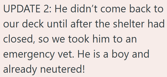 UPDATE 2: He didn't come back to our deck until after the shelter had closed, so we took him to an emergency vet. He is a boy and already neutered!