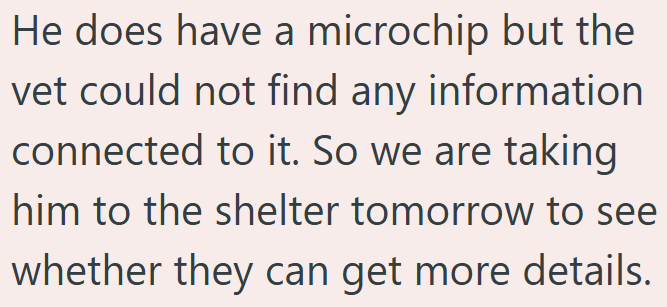 He does have a microchip but the vet could not find any information connected to it. So we are taking him to the shelter tomorrow to see whether they can get more details.