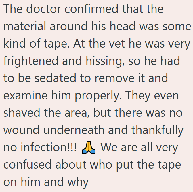 The doctor confirmed that the material around his head was some kind of tape. At the vet he was very frightened and hissing, so he had to be sedated to remove it and examine him properly. They even shaved the area, but there was no wound underneath and thankfully no infection!!! We are all very confused about who put the tape on him and why