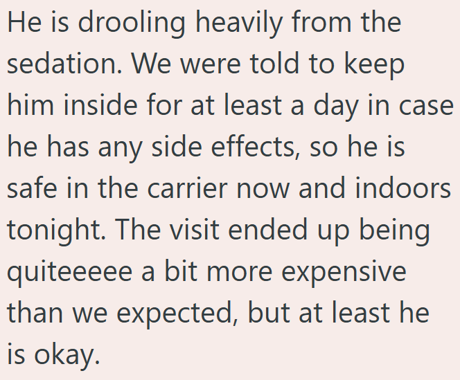 He is drooling heavily from the sedation. We were told to keep him inside for at least a day in case he has any side effects, so he is safe in the carrier now and indoors tonight. The visit ended up being quiteeeee a bit more expensive than we expected, but at least he is okay.