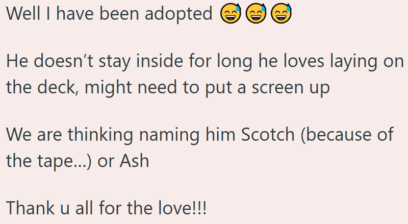 Well I have been adopted D D He doesn't stay inside for long he loves laying on the deck, might need to put a screen up We are thinking naming him Scotch (because of the tape...) or Ash Thank u all for the love!!!