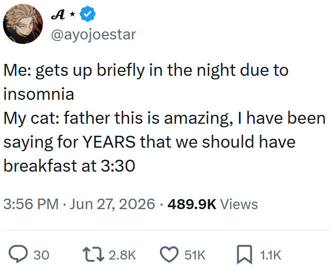 A ⭑ @ayojoestar Me: gets up briefly in the night due to insomnia My cat: father this is amazing, I have been saying for YEARS that we should have breakfast at 3:30 3:56 PM - Jun 27, 2026 - 489.9K Views ○ 30 12.8K 51K ☐ 1.1K