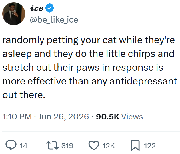 ice @be_like_ice randomly petting your cat while they're asleep and they do the little chirps and stretch out their paws in response is more effective than any antidepressant out there. 1:10 PM ⚫ Jun 26, 2026 90.5K Views → 14 17819 12K ☐ 122