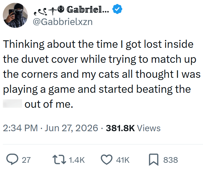 Gabriel... @Gabbrielxzn Thinking about the time I got lost inside the duvet cover while trying to match up the corners and my cats all thought I was playing a game and started beating the out of me. 2:34 PM Jun 27, 2026 381.8K Views → 27 1.4K 41K ☐ 838