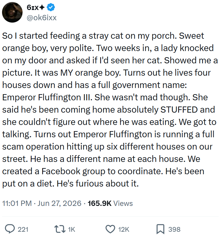 61x+ @ok6ixx So I started feeding a stray cat on my porch. Sweet orange boy, very polite. Two weeks in, a lady knocked on my door and asked if I'd seen her cat. Showed me a picture. It was MY orange boy. Turns out he lives four houses down and has a full government name: Emperor Fluffington III. She wasn't mad though. She said he's been coming home absolutely STUFFED and she couldn't figure out where he was eating. We got to talking. Turns out Emperor Fluffington is running a full scam operation