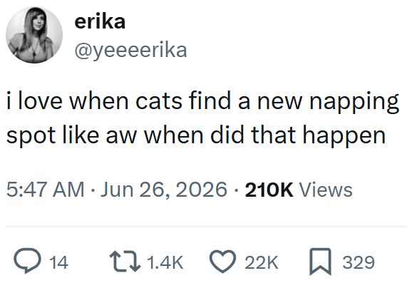 erika @yeeeerika i love when cats find a new napping spot like aw when did that happen 5:47 AM ⚫ Jun 26, 2026 · 210K Views ◇ 14 1.4K 22K 329