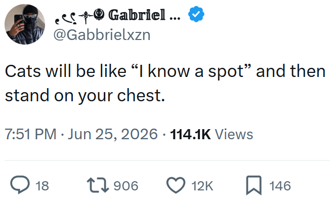 Gabriel ... @Gabbrielxzn Cats will be like "I know a spot" and then stand on your chest. 7:51 PM ⚫ Jun 25, 2026 114.1K Views > 18 17906 12K ☐ 146