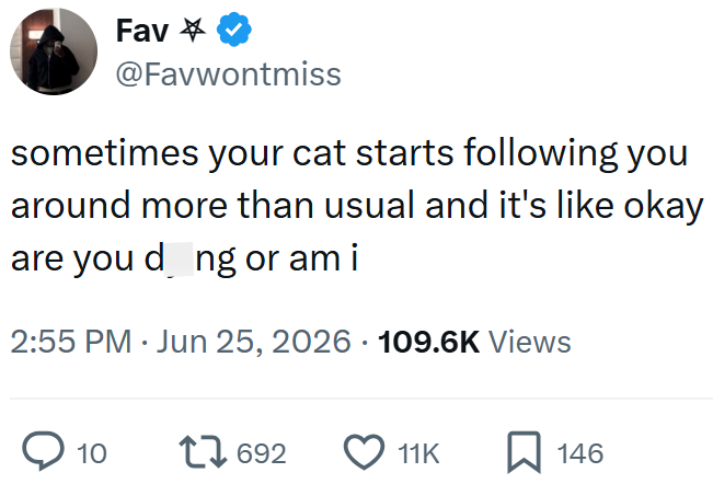 Fav @Favwontmiss sometimes your cat starts following you around more than usual and it's like okay are you d ng or am i 2:55 PM - Jun 25, 2026 109.6K Views > 10 17692 11K ☐ 146