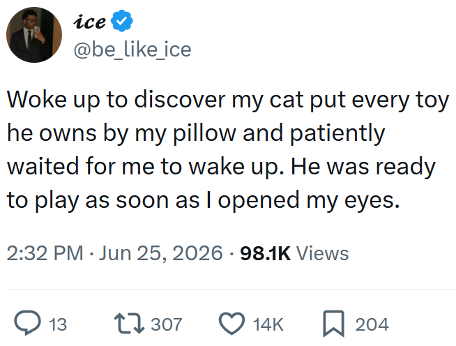 ice @be_like_ice Woke up to discover my cat put every toy he owns by my pillow and patiently waited for me to wake up. He was ready to play as soon as I opened my eyes. 2:32 PM Jun 25, 2026 - 98.1K Views 13 17307 14K ☐ 204