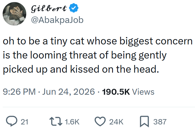Gilbert @AbakpaJob oh to be a tiny cat whose biggest concern is the looming threat of being gently picked up and kissed on the head. 9:26 PM - Jun 24, 2026 · 190.5K Views > 21 11.6K 24K ☐ 387