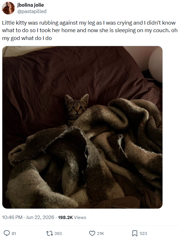 jbolina jolie @pastapilled Little kitty was rubbing against my leg as I was crying and I didn't know what to do so I took her home and now she is sleeping on my couch. oh my god what do I do 10:46 PM - Jun 22, 2026 -198.2K Views 81 1393 21K ☐ 523